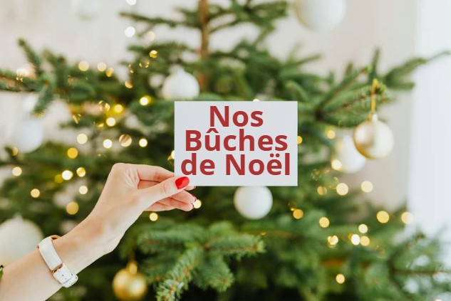 bûches de Noël Une Histoire Sans Faim Robion, Vaucluse
